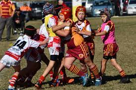 west maitland junior rugby league